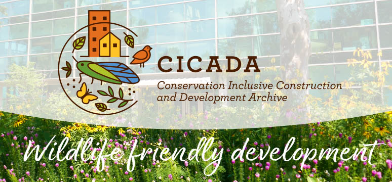 The logo for CICADA