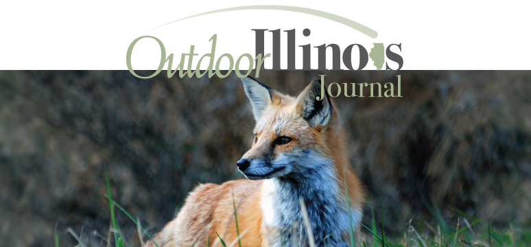 The logo for Outdoor Illinois Journal